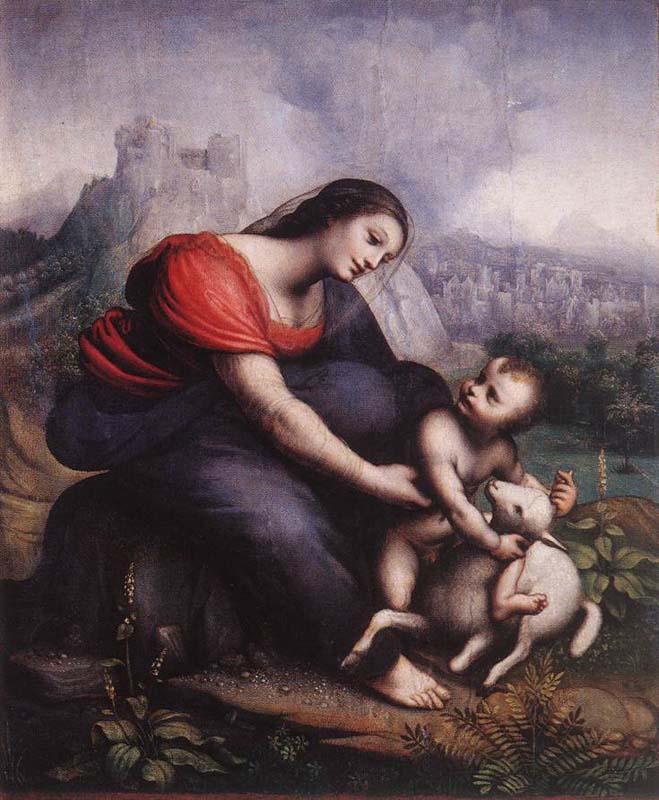 Cesare da Sesto Madonna and Child with the Lamb of God Germany oil painting art